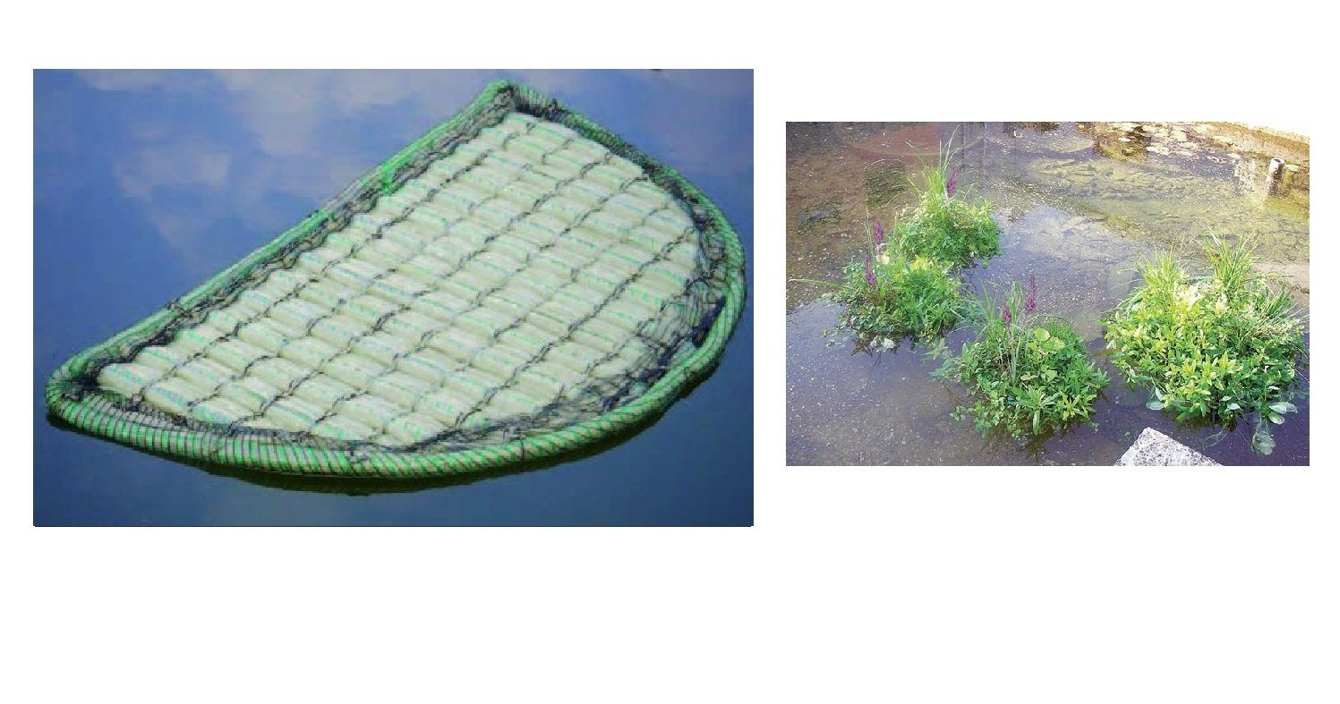 Aquaforte Pflanzkelle Aquaforte schwimmende Pflanzinsel halbrund, 121cm Koi Teiche