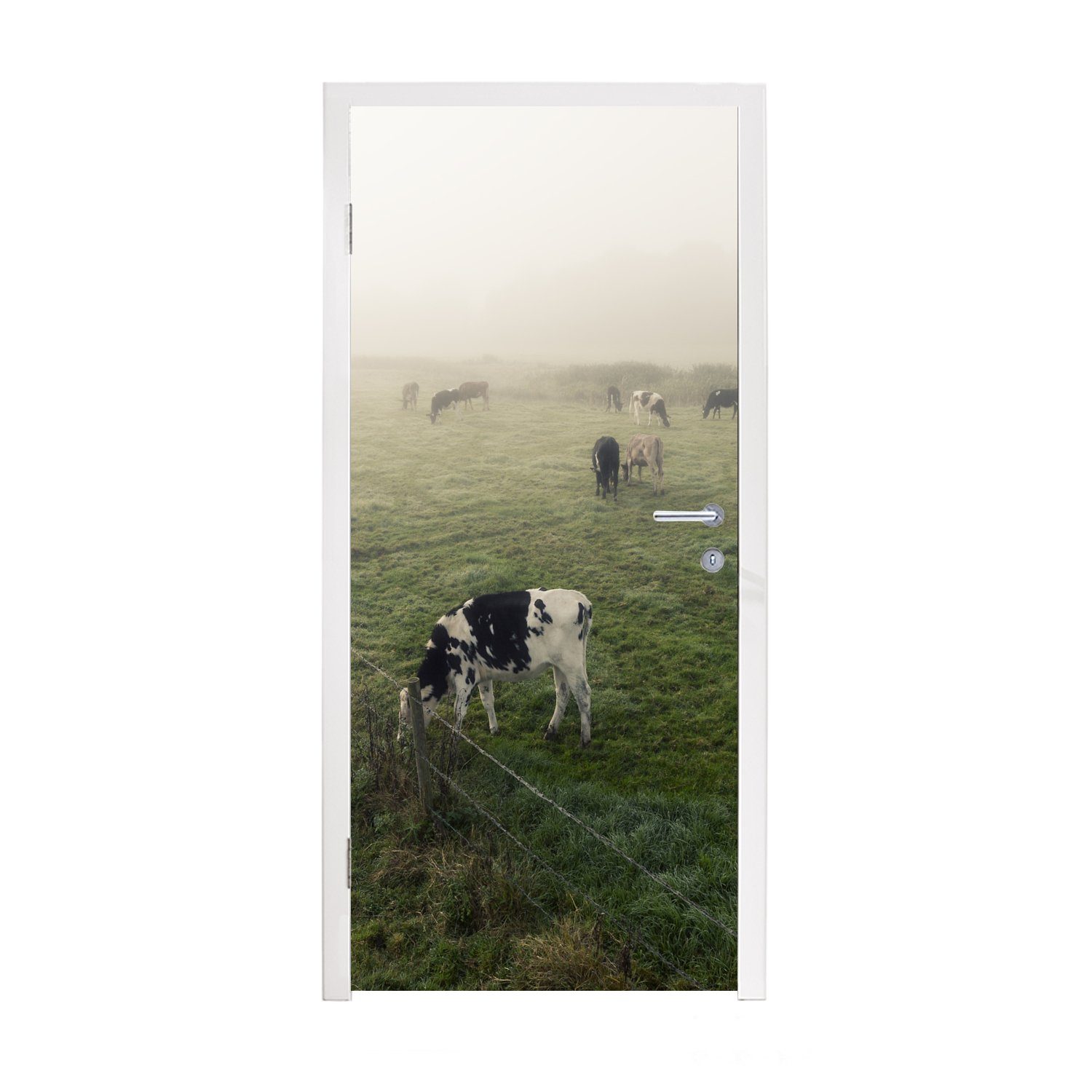 - für bedruckt, Kühe Tür, - Türaufkleber, cm 75x205 Friesland, Türtapete Matt, Fototapete St), (1 MuchoWow Nebel