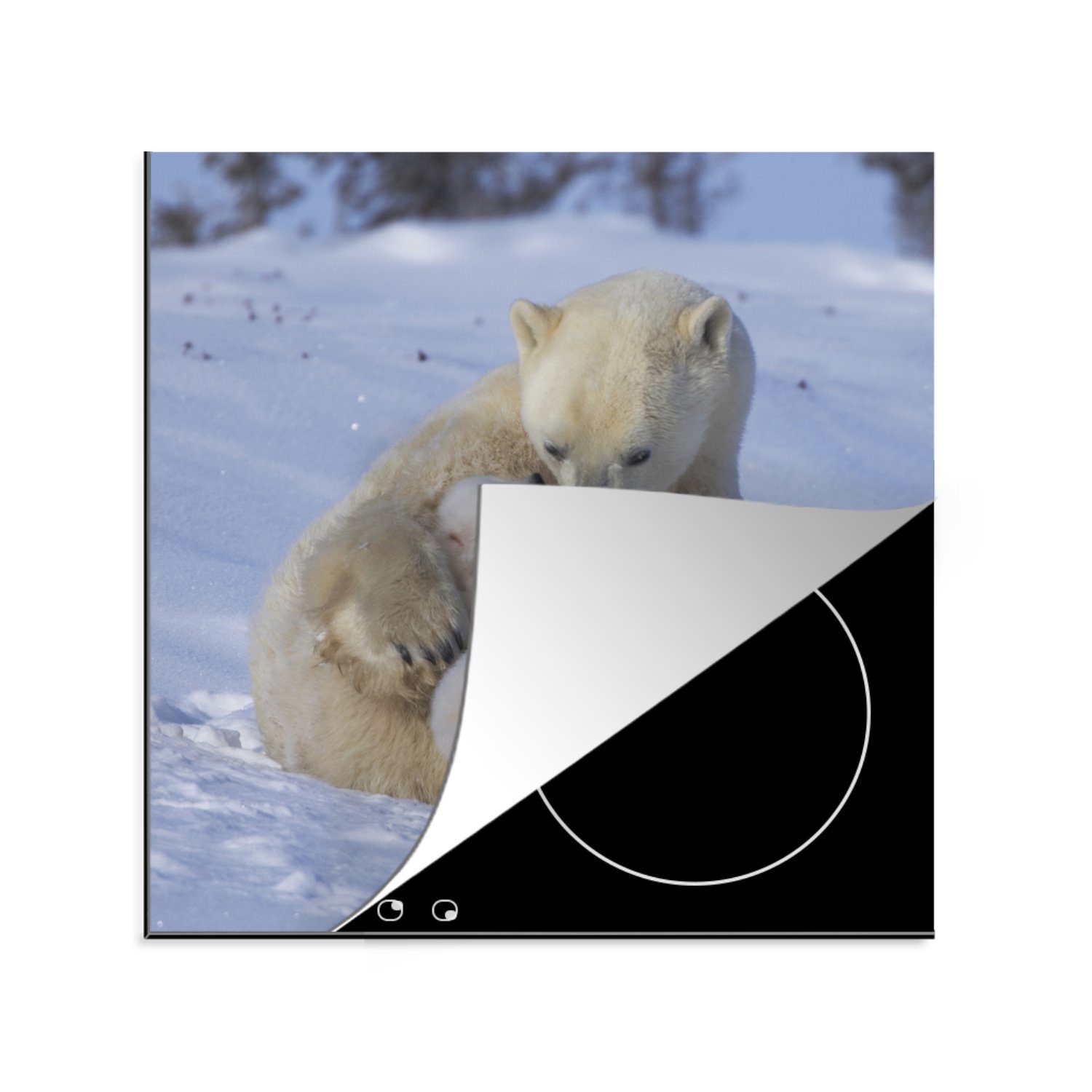 MuchoWow Herdblende-/Abdeckplatte Eisbär - Baby - Schnee, Vinyl, (1 tlg), 78x78 cm, Ceranfeldabdeckung, Arbeitsplatte für küche