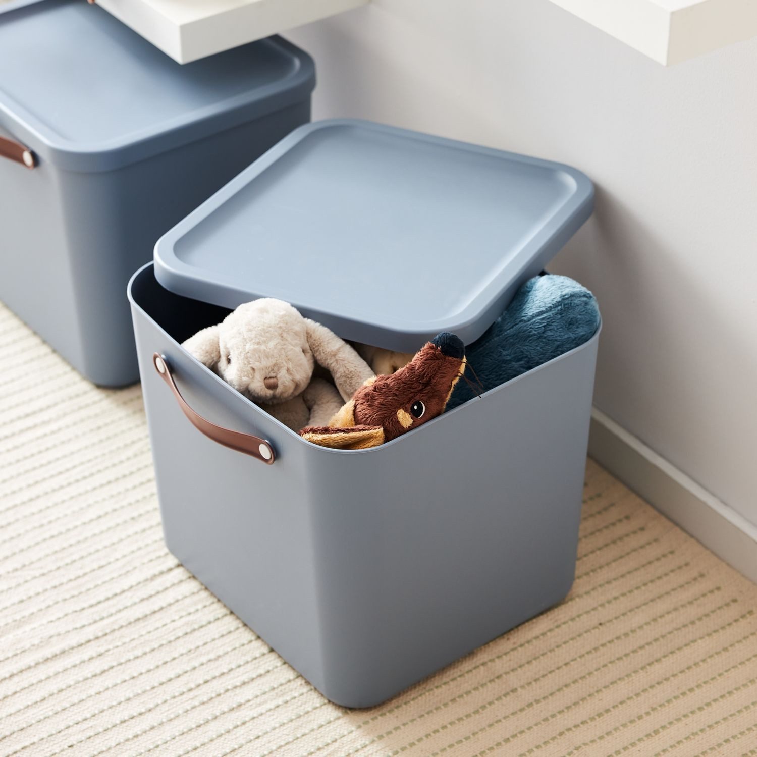 ROTHO Aufbewahrungsbox 2er-Set Aufbewahrungskiste 40l (Aufbewahrungsset, günstig online kaufen