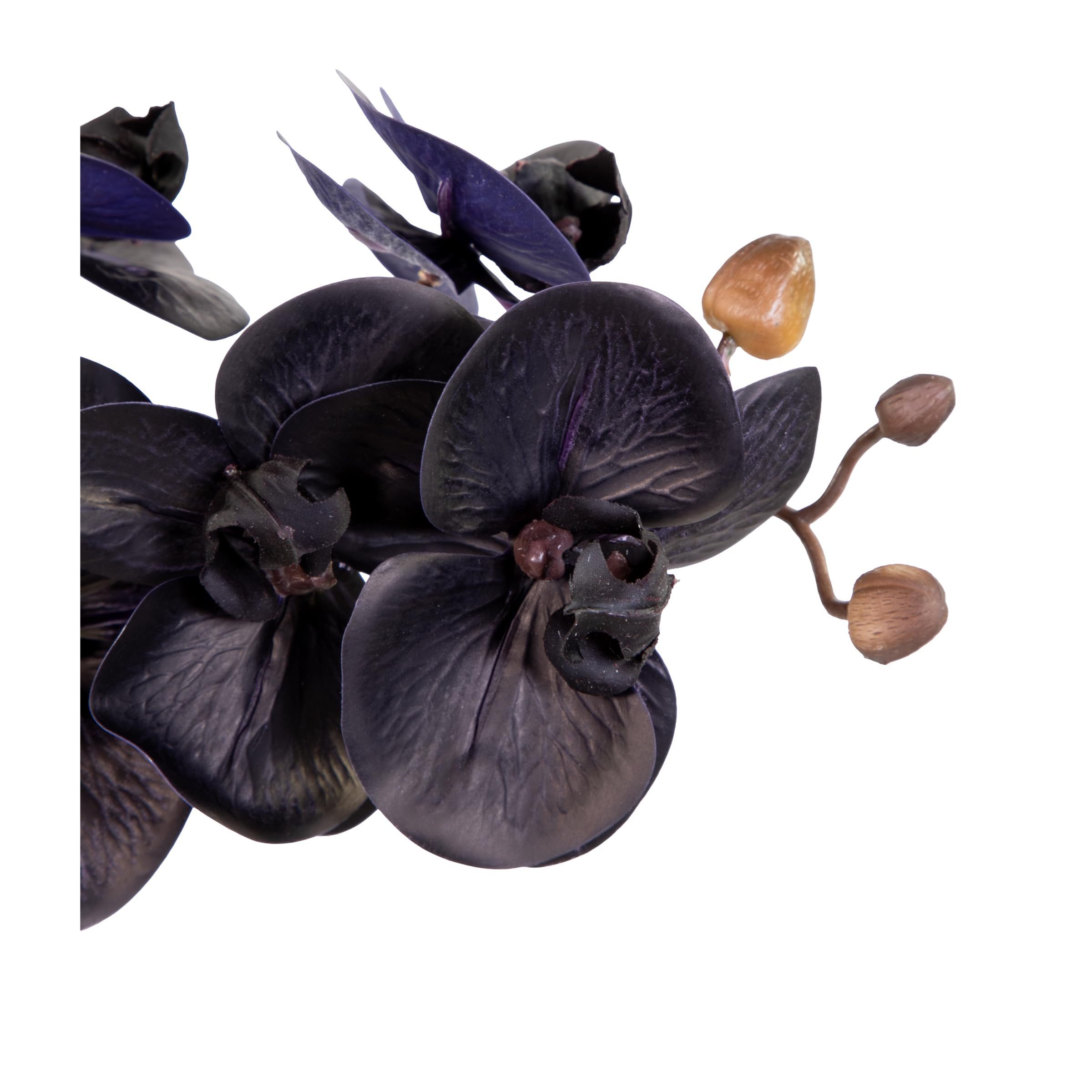 Kunstblume Orchidee Real Touch 50x20cm schwarz im Topf GA, Seidenblumen Roß, Höhe 50,00 cm – Bild 3 von 5
