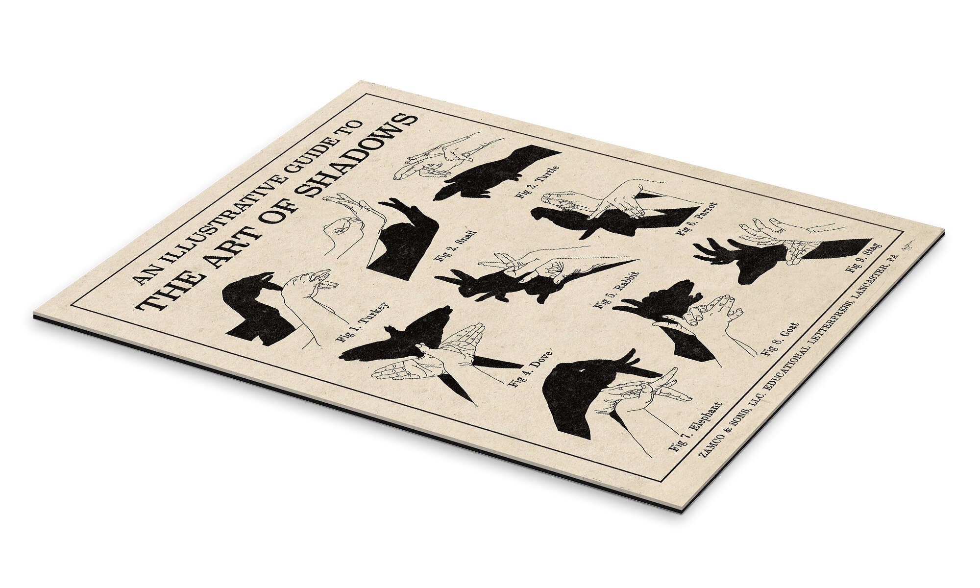 Posterlounge Wandbild Die Kunst der Schattenspiele günstig online kaufen