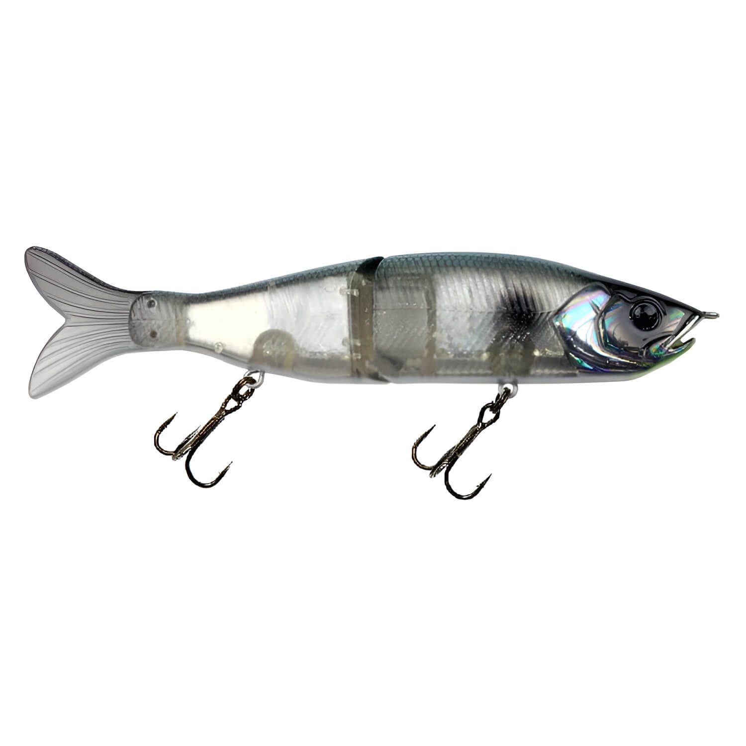 Abalone Shad