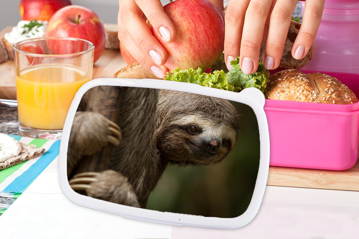 Kunststoff Bäumen Erwachsene, die Kamera, MuchoWow für (2-tlg), Kinder, den rosa in Mädchen, Lunchbox Kunststoff, schaut Brotbox Brotdose in Faultier Snackbox, Ein