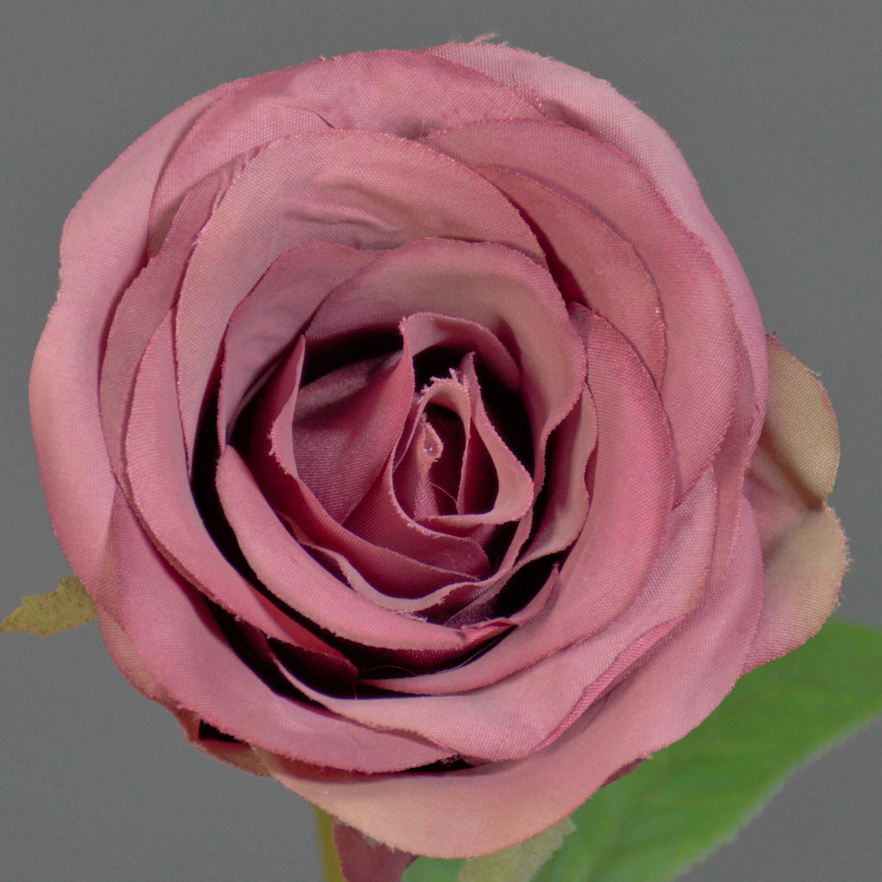 Kunstblume Kunstrose RUYUN, Altrosa-grün, 45 cm Rose, artplants, Höhe 45.0 cm