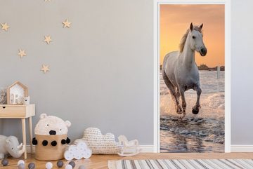MuchoWow Türtapete Pferde - Sonne - Meer - Strand - Tiere, Matt, bedruckt, (1 St), Fototapete für Tür, Türaufkleber, 75x205 cm