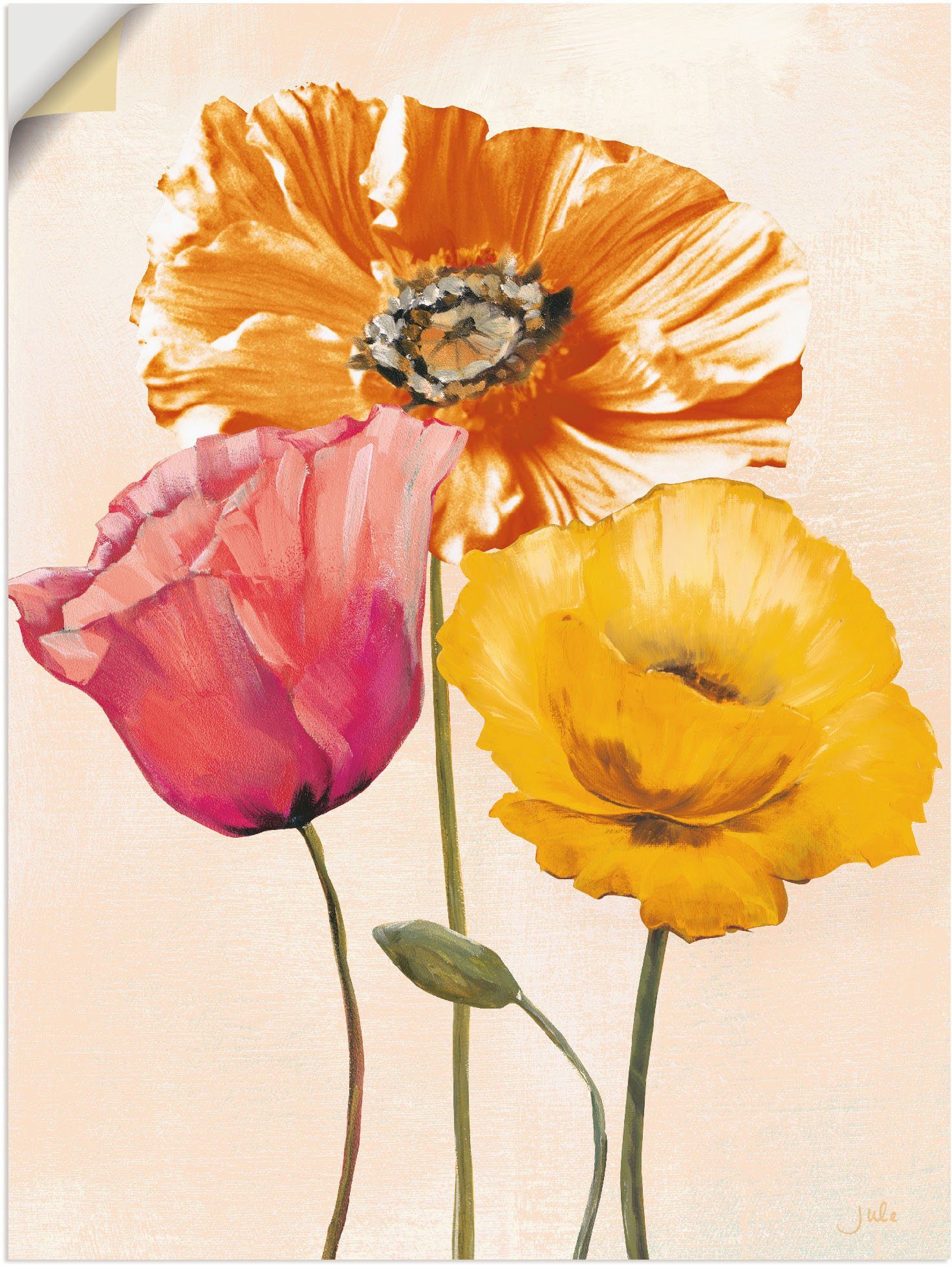 Artland Wandbild Bunte Mohnblumen II, Blumenbilder günstig online kaufen