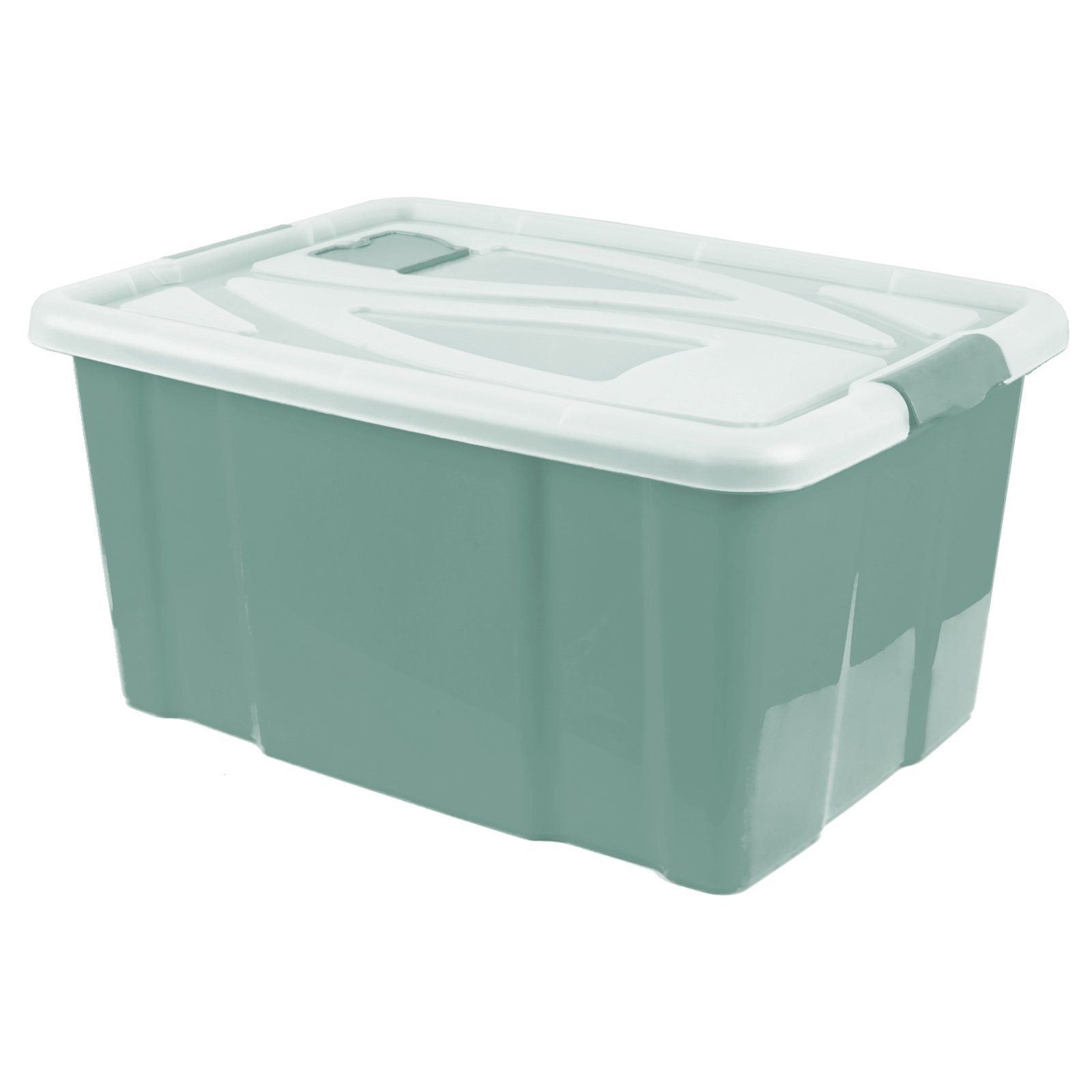 HTI-Living Aufbewahrungsbox Box mit Deckel 55 L (Stück, 1 St., 1 Aufbewahrungsbox mit Deckel), Ordungshelfer Kiste Aufbewahrungsbox