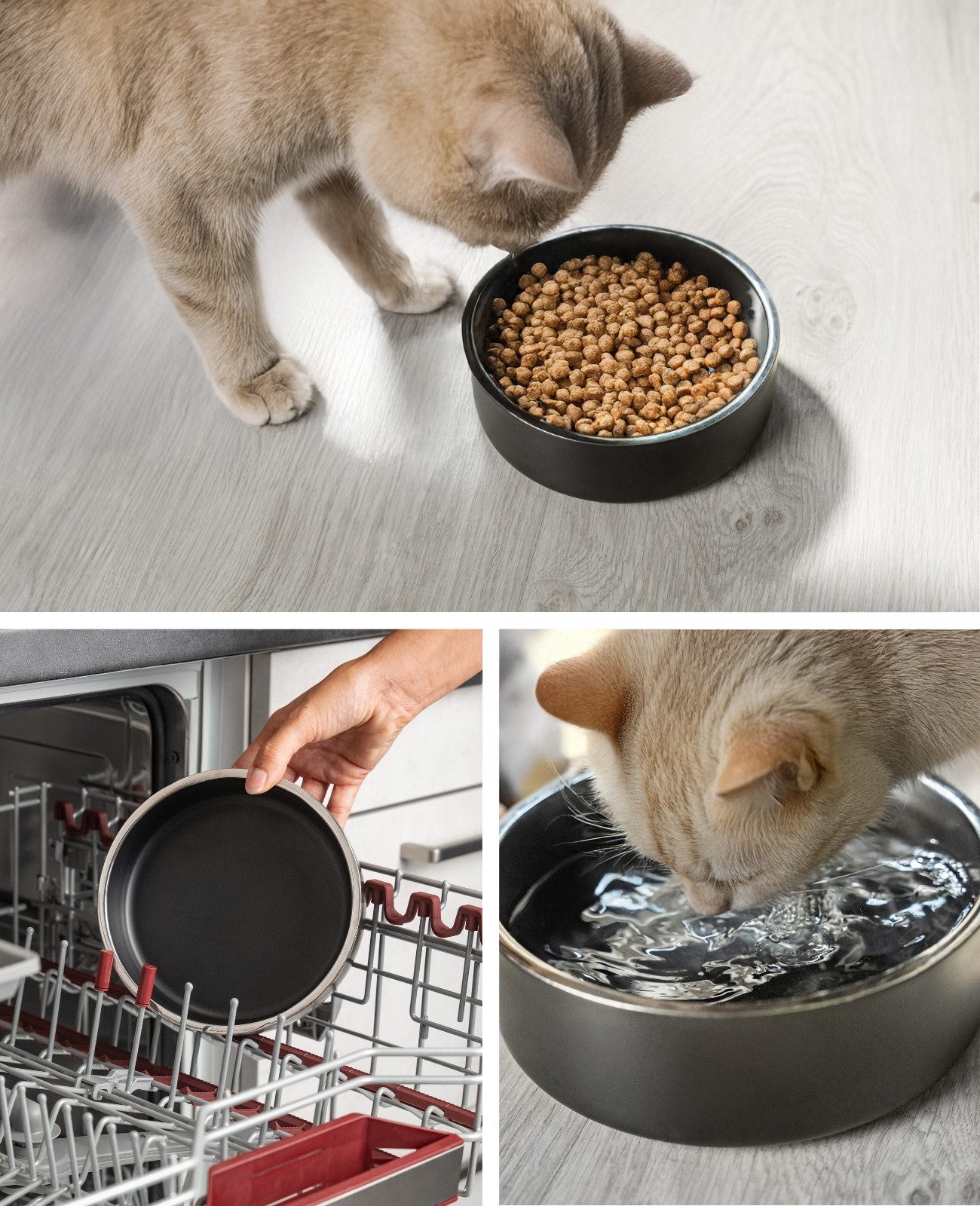 lionto Futternapf für Katzen, 17 cm Durchmesser, 825 ml schwarz, doppelwandig, Edelstahl, langlebig, stilvoll &rutschfest