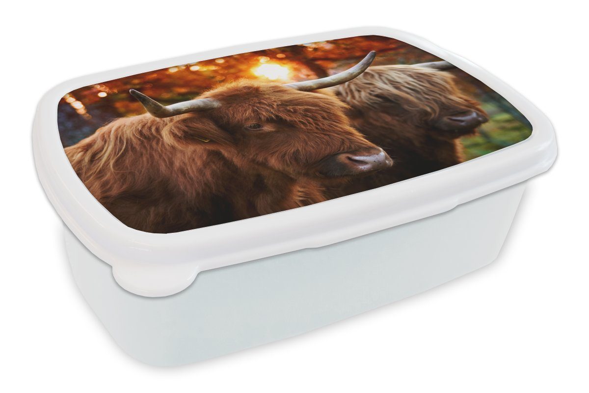 MuchoWow Lunchbox Schottische Highlander - Porträt - Herbst, Kunststoff, (2-tlg), Brotbox für Kinder und Erwachsene, Brotdose, für Jungs und Mädchen weiß