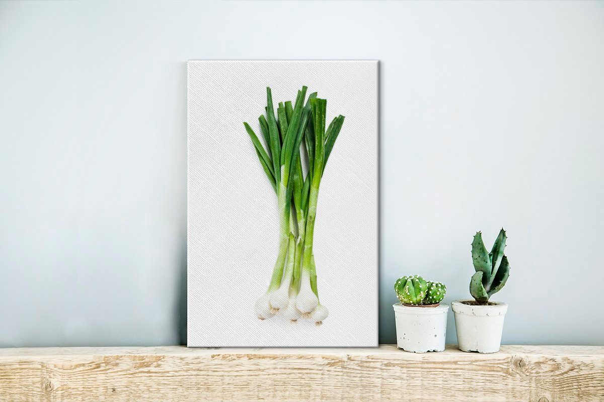 Bio-Frühlingszwiebel 20x30 St), (1 Leinwandbild fertig Nahaufnahme inkl. weißem bespannt Gemälde, Hintergrund, Zackenaufhänger, cm einer OneMillionCanvasses® Leinwandbild vor