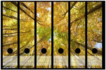 Wallario Etiketten Goldener Herbst - Bunte Blätter von unten betrachtet, Ordnerrücken-Sticker in verschiedenen Ausführungen