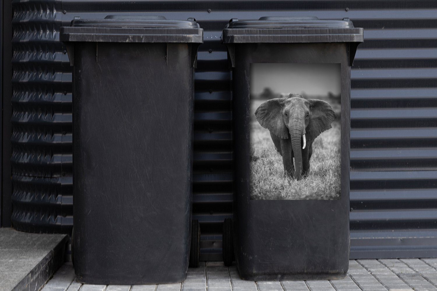 Safari Tiere St), - Mülltonne, Sticker, Mülleimer-aufkleber, Elefant - Wildtiere MuchoWow Container, - Abfalbehälter (1 Wandsticker