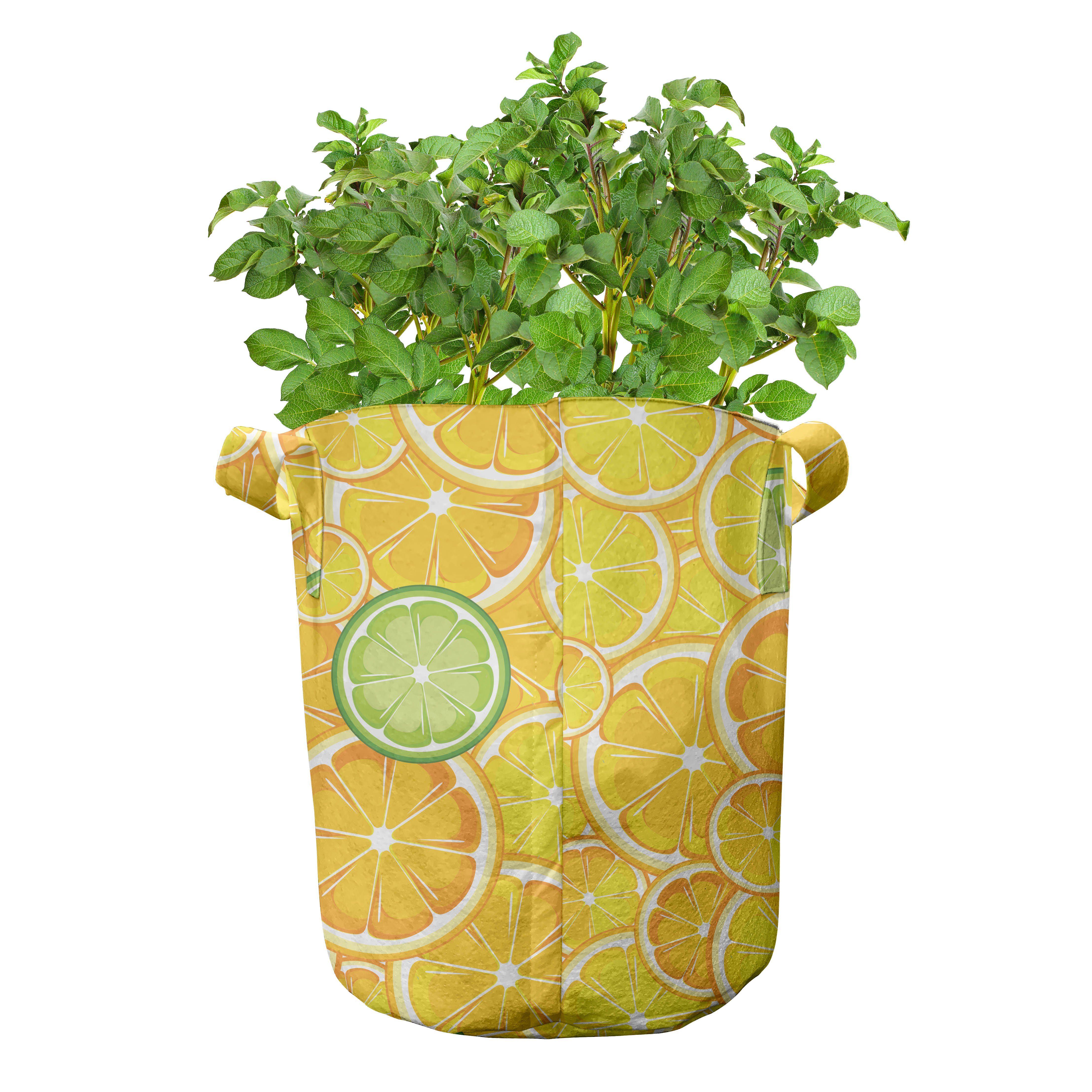 Abakuhaus für orange Stofftöpfe Pflanzkübel mit Pflanzen, Obst Griffen Lemon Kreise hochleistungsfähig