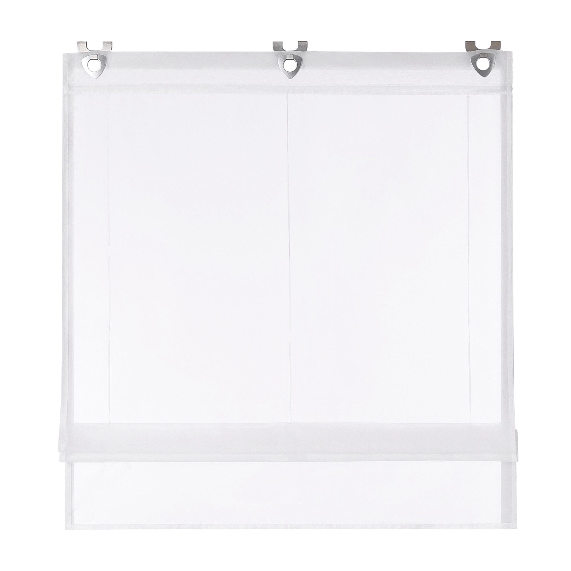 Joyswahl Raffrollo Hanna, mit Hakenaufhängung, Voile Ösenrollo Unifarbige günstig online kaufen