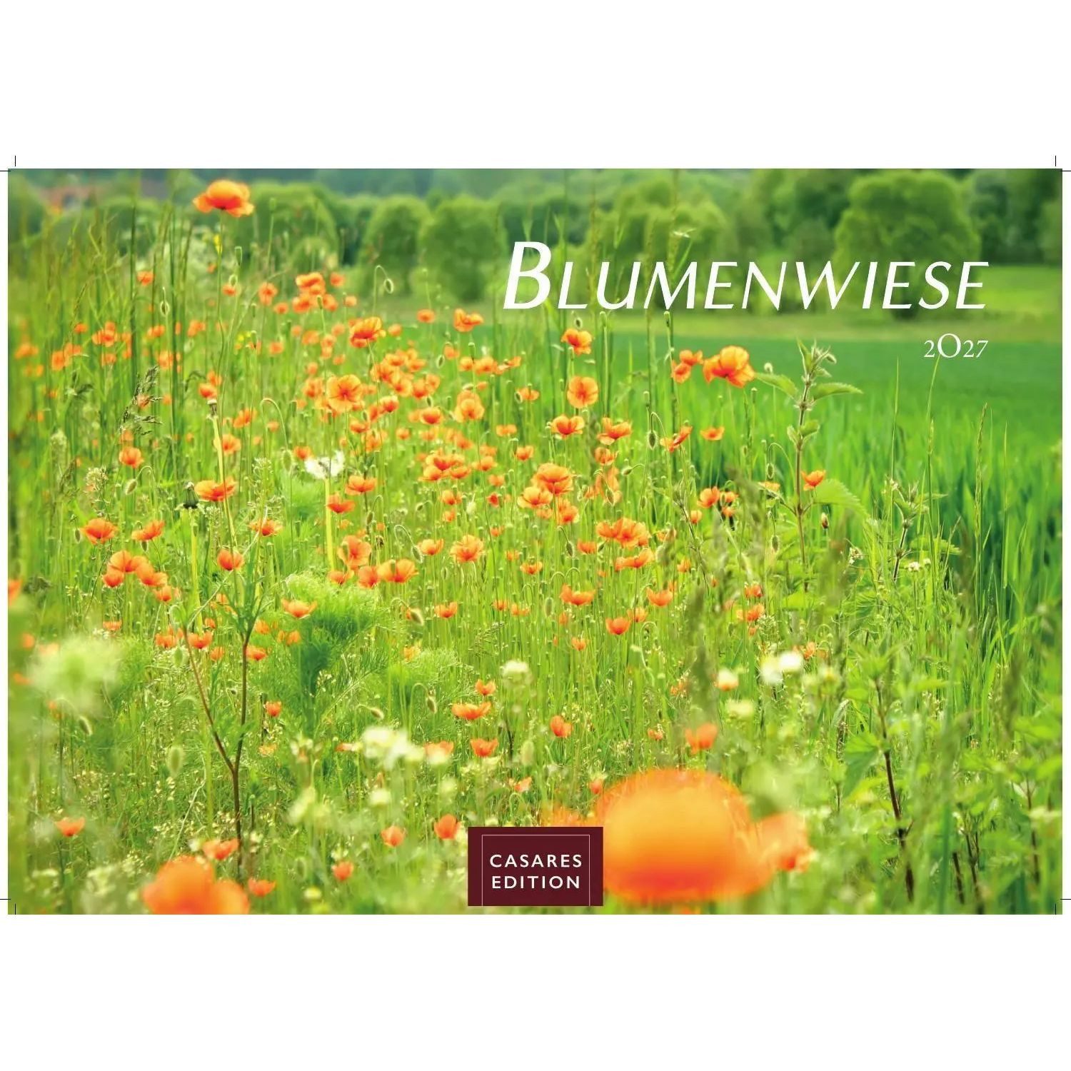 Wandkalender Blumenwiese Kalender 2027 - Wandkalender, Fotokalender...