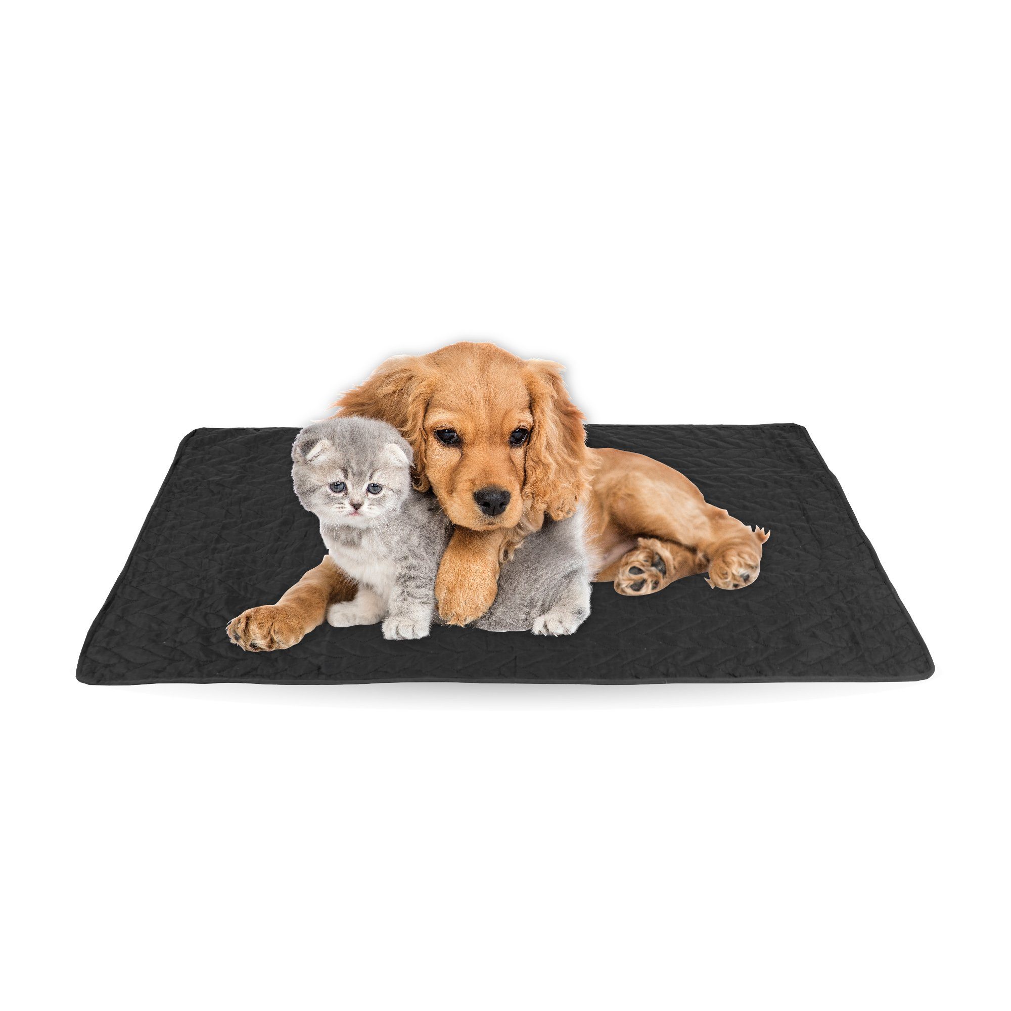 Bestlivings Tierdecke gesteppte Haustierdecke S-XL, Polyester, Haustiermatte - perfekt für Katzen bis große Hunde - Steppdecke