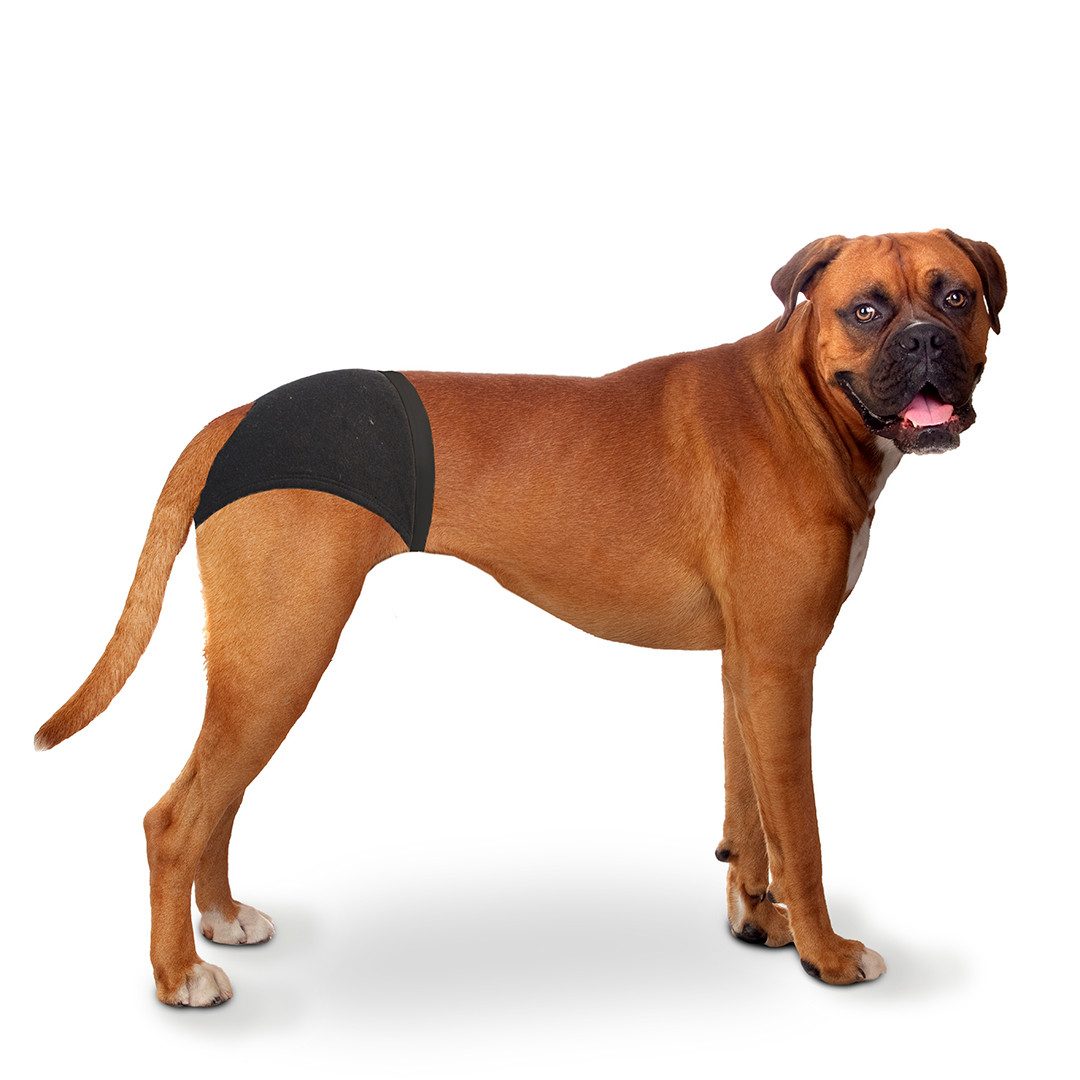 DUVO+ Hundetoilette Duvoplus Schutzhöschen - Schwarz Umfang: 18-23cm