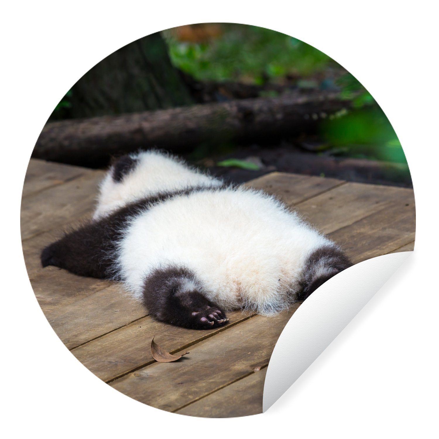 MuchoWow Wandsticker Tier - Panda - Schlafend (1 St), Tapetenkreis für Kinderzimmer, Tapetenaufkleber, Rund, Wohnzimmer