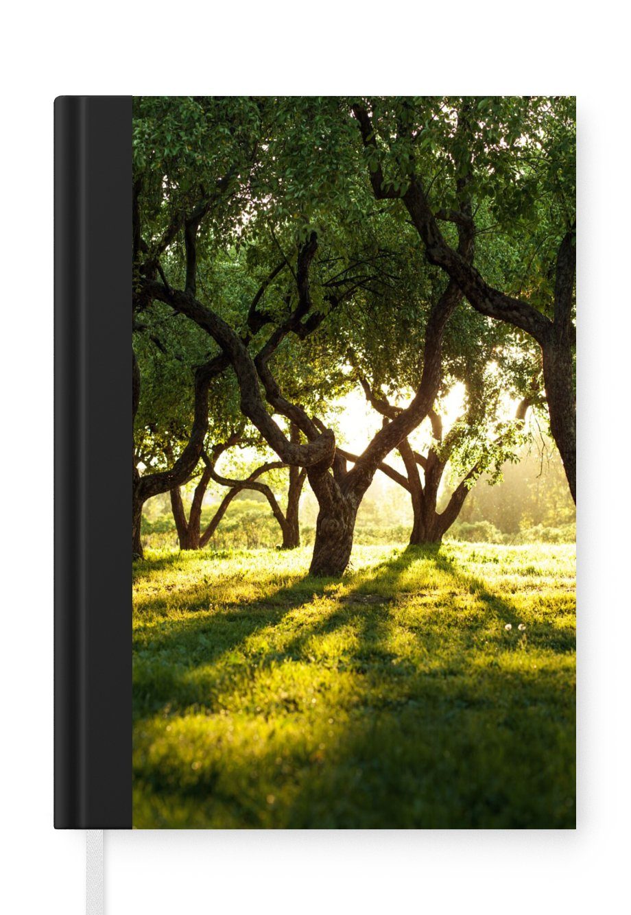 MuchoWow Notizbuch Bäume - Natur - Sonne, Journal, Merkzettel, Tagebuch, Notizheft, A5, 98 Seiten, Haushaltsbuch
