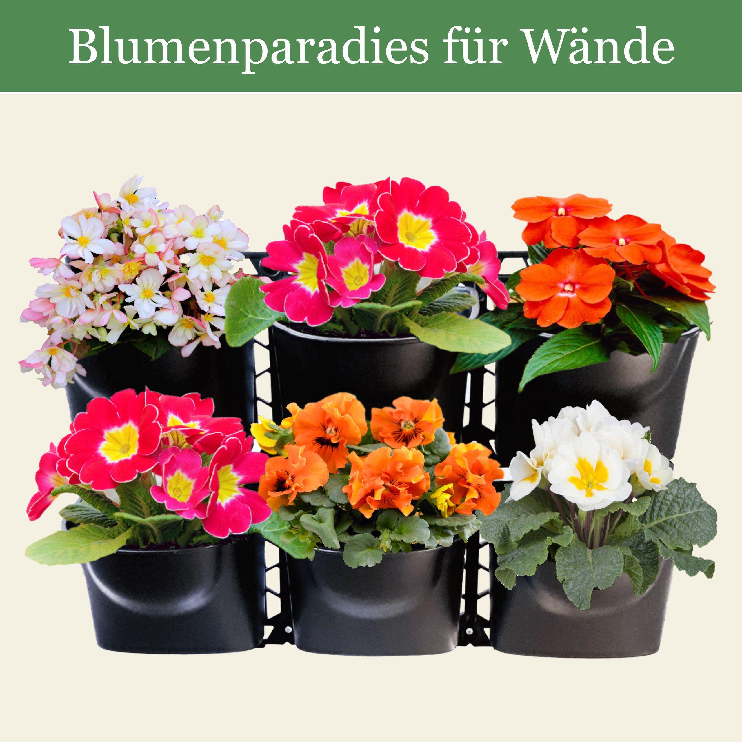 INTERGARDEN Pflanzeinsatz Pflanzwand: 6 Pflanztöpfe mit Rahmen für Balkon, günstig online kaufen