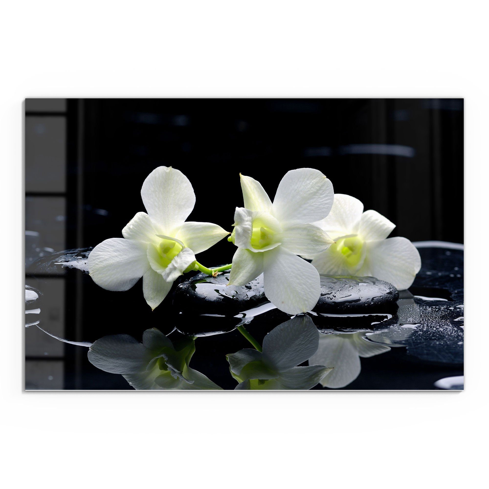 DEQORI Glasbild 'Orchidee mit Zen-Steinen', 'Orchidee günstig online kaufen