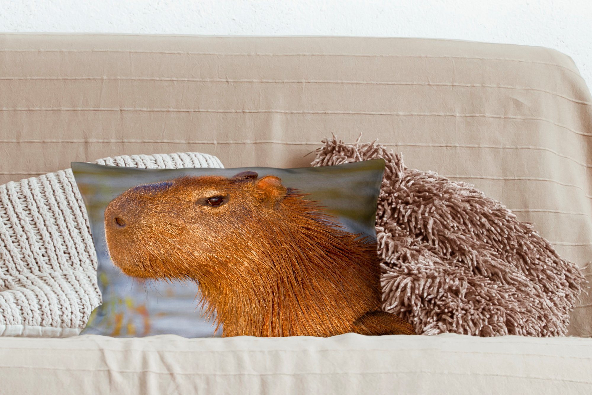 Dekokissen Kopfes Dekokissen MuchoWow eines Capybaras, Zierkissen, Nahaufnahme Wohzimmer Dekoration, Schlafzimmer des mit Eine Füllung,