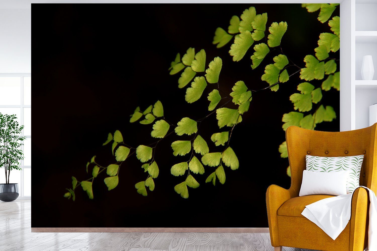 MuchoWow Fototapete Mehrere Tapete (6 Montagefertig einem Blätter auf Wohnzimmer, Venus Vinyl schwarzen bedruckt, für St), Hintergrund, Matt, Wandtapete Haar