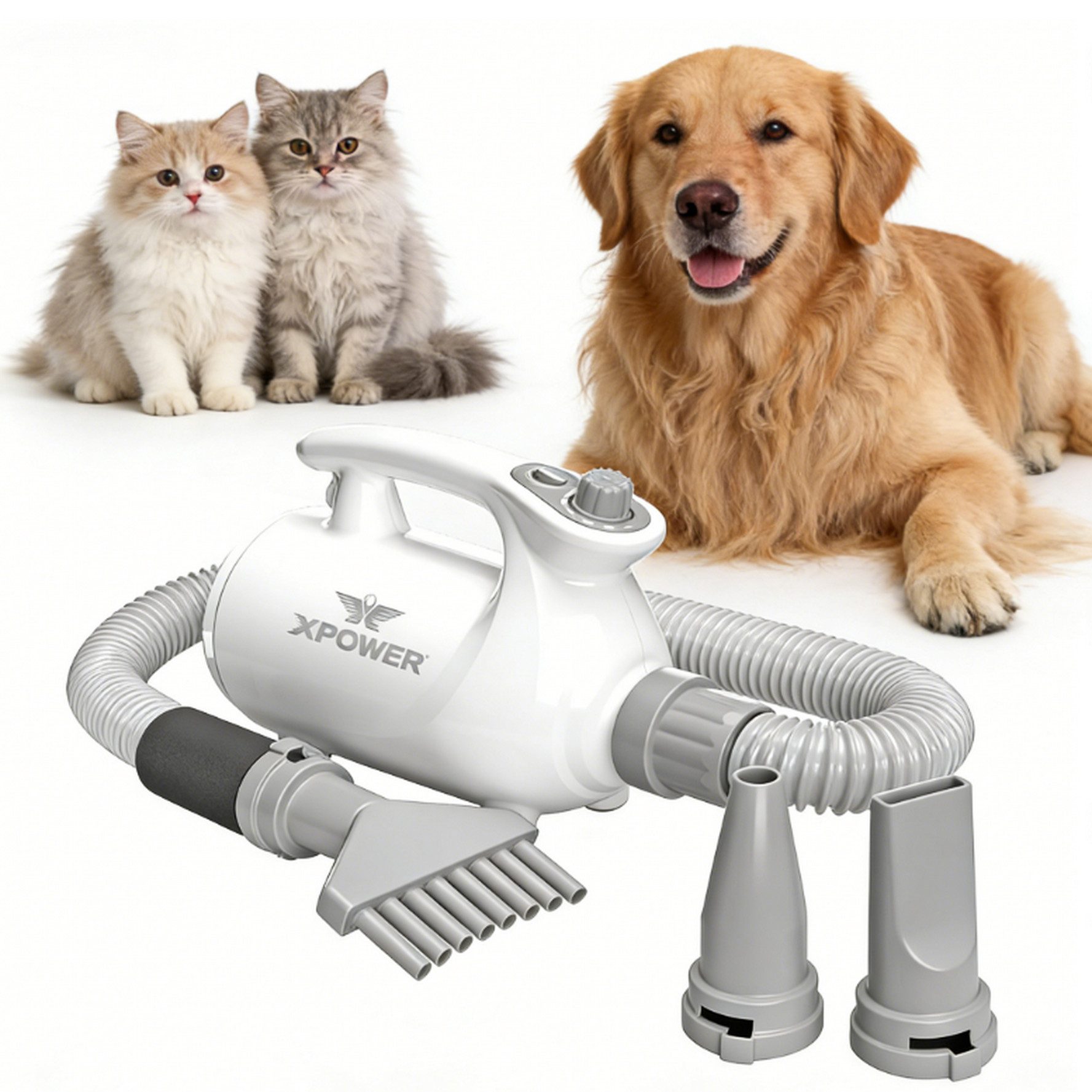 XPOWER Hundeschermaschine B-113 Haushalts Haustier Trimmer Anti-Sheddin Haustier Staubsauger Set, 5 in 1, 2 HEIZSTUFEN, GERÄUSCHARMER BETRIEB, FLEXIBLER SCHLAUCH, Dauerhaft