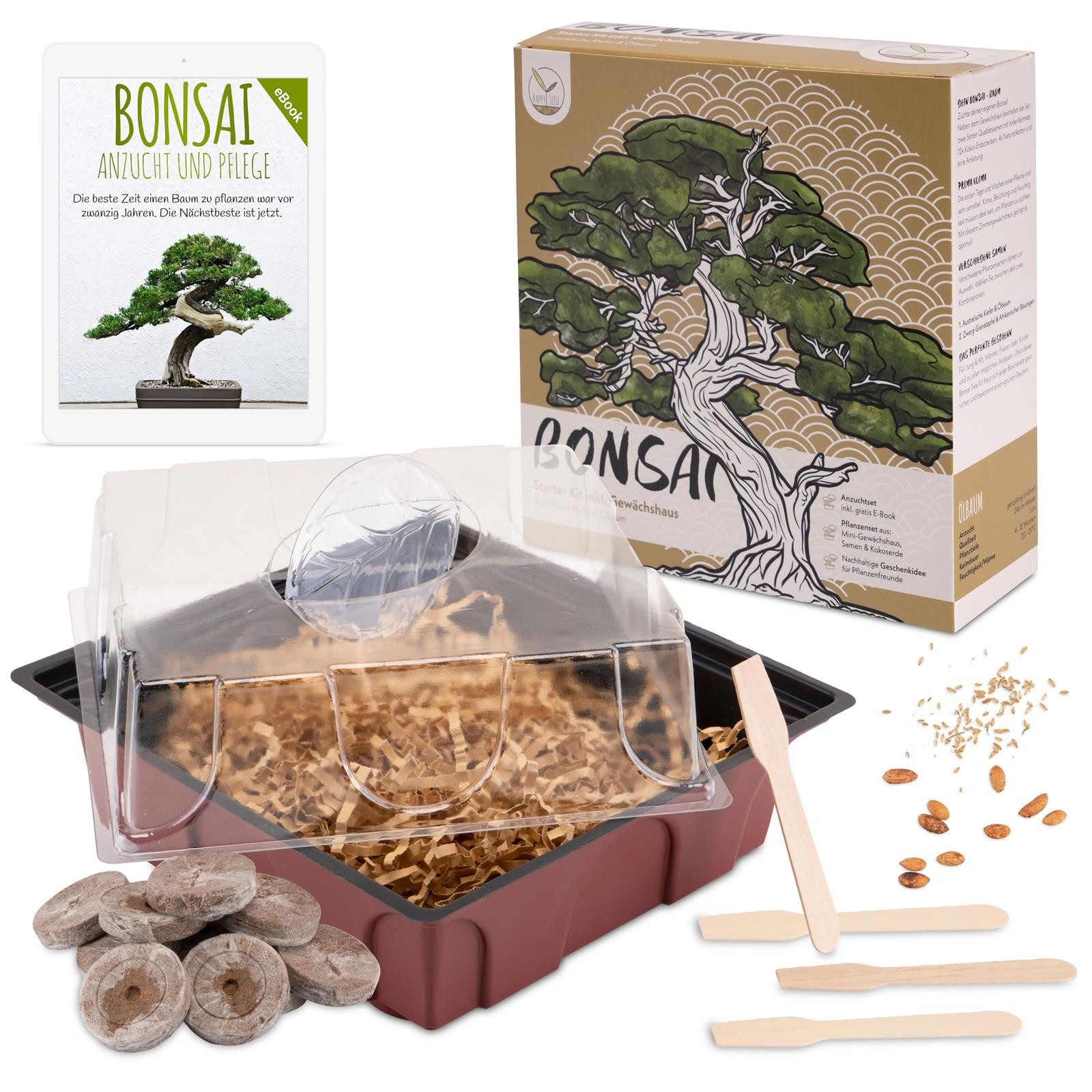 Blumensamen Bonsai Starter Kit inkl. eBook & Gewächshaus (Austr. Kiefer + Ölbaum)