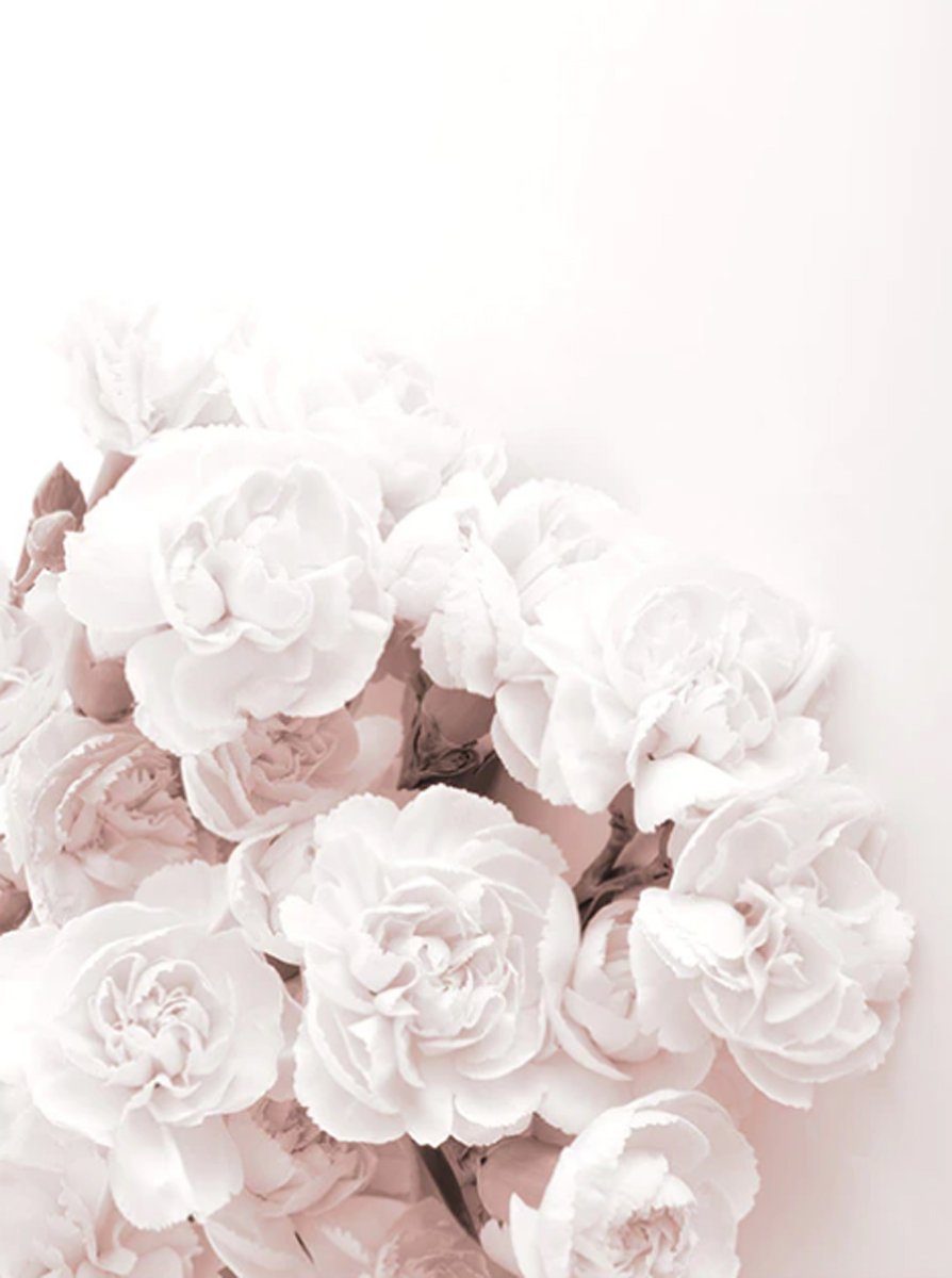 TPFLiving Kunstdruck (OHNE RAHMEN) Poster - Leinwand - Wandbild, Rosa Blumen und Blüten - Wanddeko Wohnzimmer - (13 verschiedene Größen zur Auswahl - Auch im günstigen 3-er Set), Farben: Pink und Weiß - Größe: 15x20cm