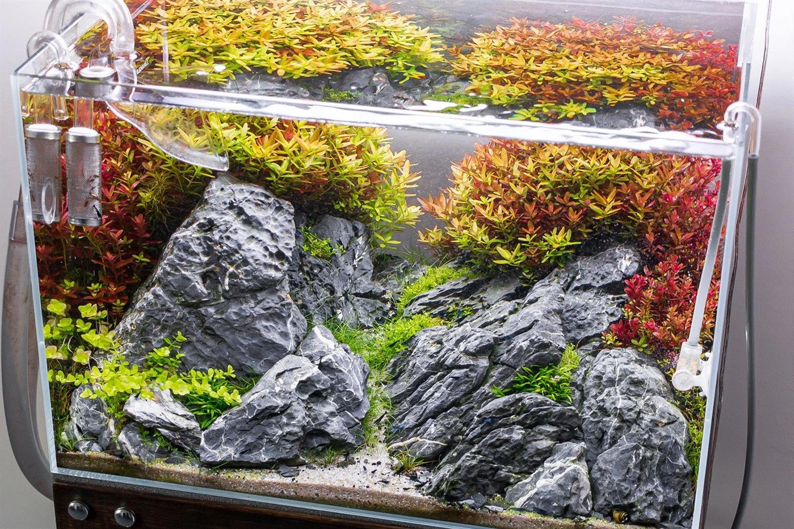 ARKA Biotechnologie GmbH Aquariendeko Arka - myScape-Rocks Seiryu 10-30cm 5kg Aquascaping Steine