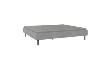 freiraum Bettgestell Easy Beds (BxHxT: 189x38x210 cm), in Beton