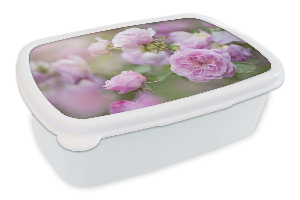 MuchoWow wachsen Lunchbox Mädchen Brotbox Rosen Erwachsene, in Natur, von weiß und Jungs Kinder und rosa (2-tlg), Brotdose, für der für Pflanzen Kunststoff,