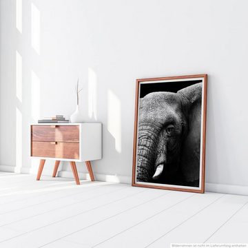 Sinus Art Poster 60x90cm Tierfotografie Poster Großer Elefantenkopf schwarz weiß