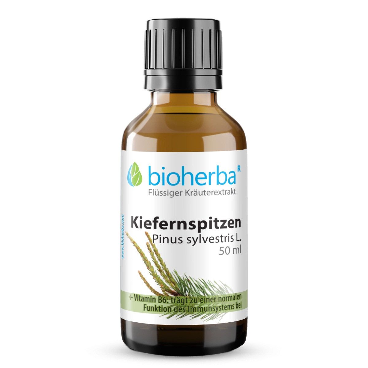 BIOHERBA R Kiefernspitzen Pinus sylvestris L. Tropfen Tinktur 50 ml Nahrungsergänzungsmittel