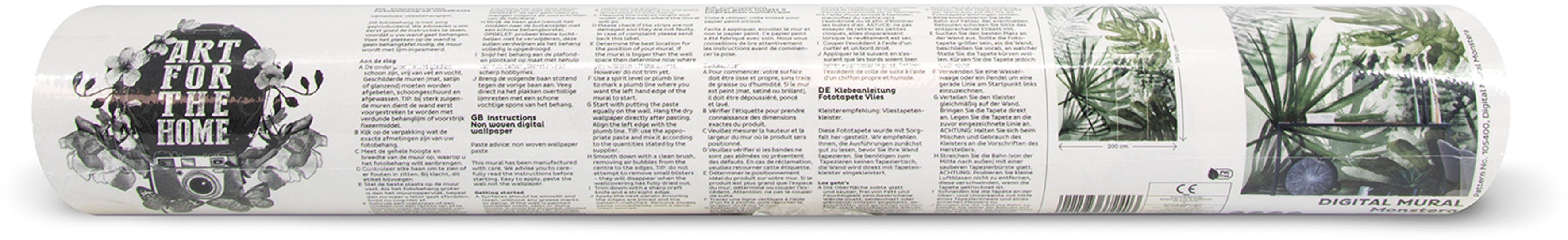 Art for the home Fototapete Palmenmix, glatt, botanisch, floral, Monstera Pflanzen 280x200 cm. € 149,00, (€ 26,61 pro 1 qm).