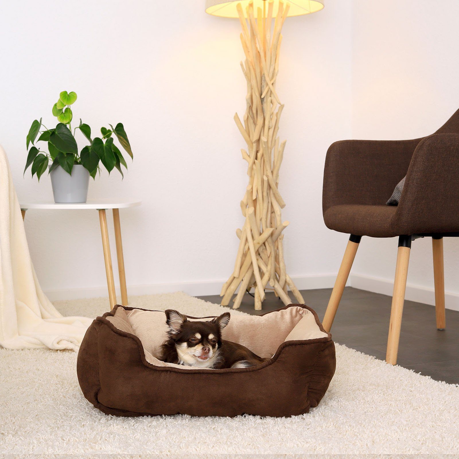 lionto Tierkissen 2-in-1 Hundebett in Wildlederoptik, günstig online kaufen