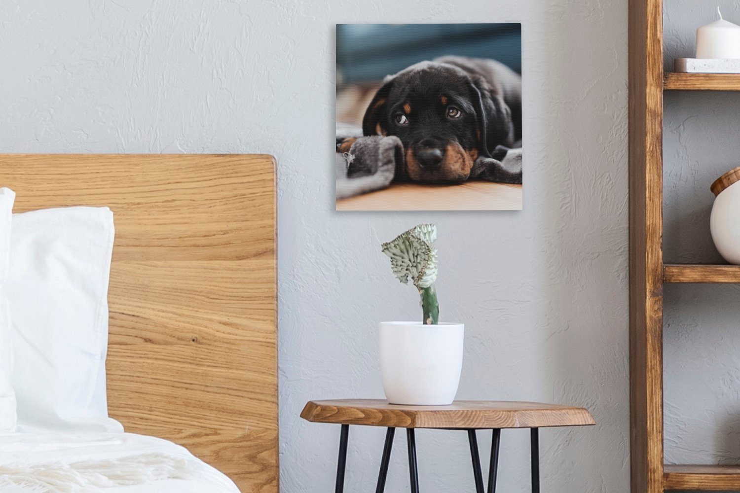 OneMillionCanvasses® Leinwandbild Niedlicher Bilder für Rottweiler-Welpe St), (1 dem Leinwand Wohnzimmer liegt Schlafzimmer Boden, auf