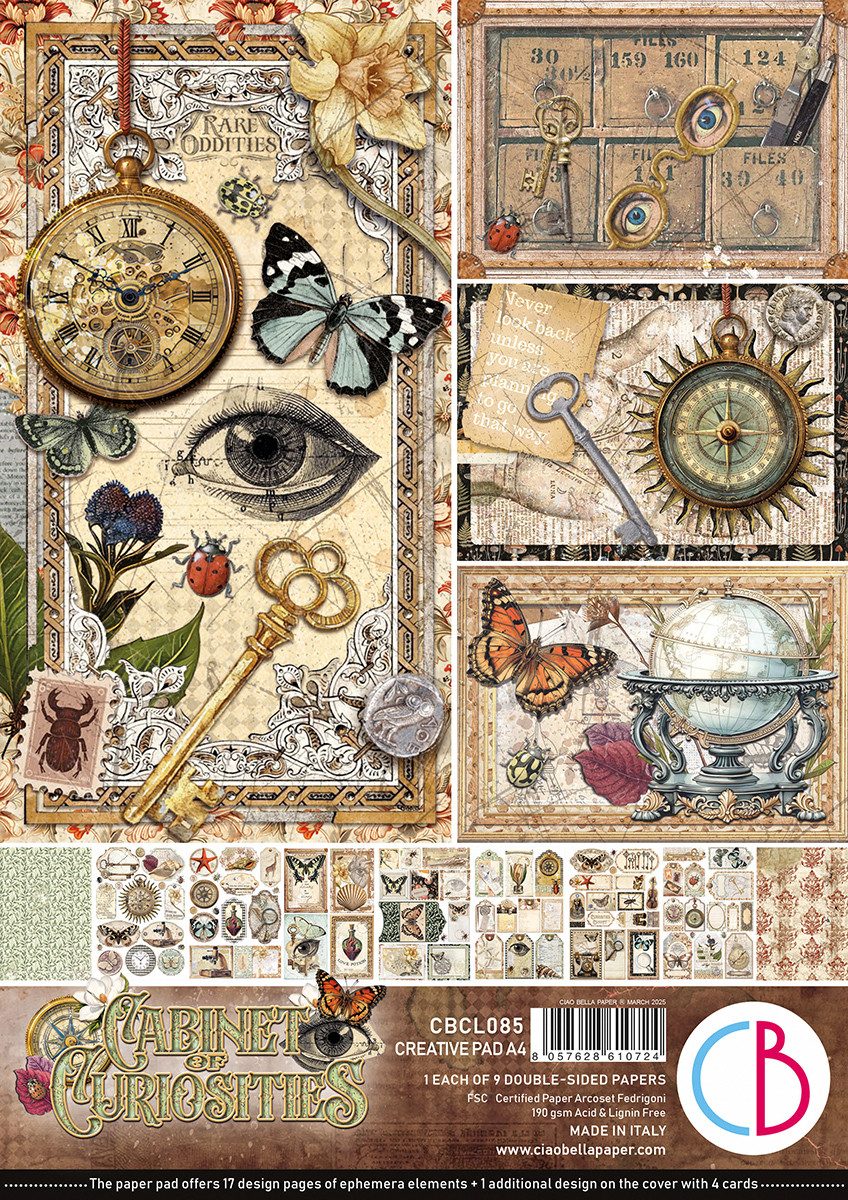 Motivpapier Cabinet of Curiosities