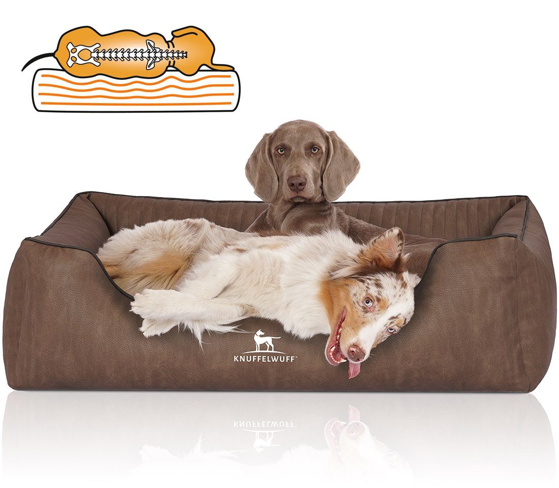 Tierbett Hundebett Tampa