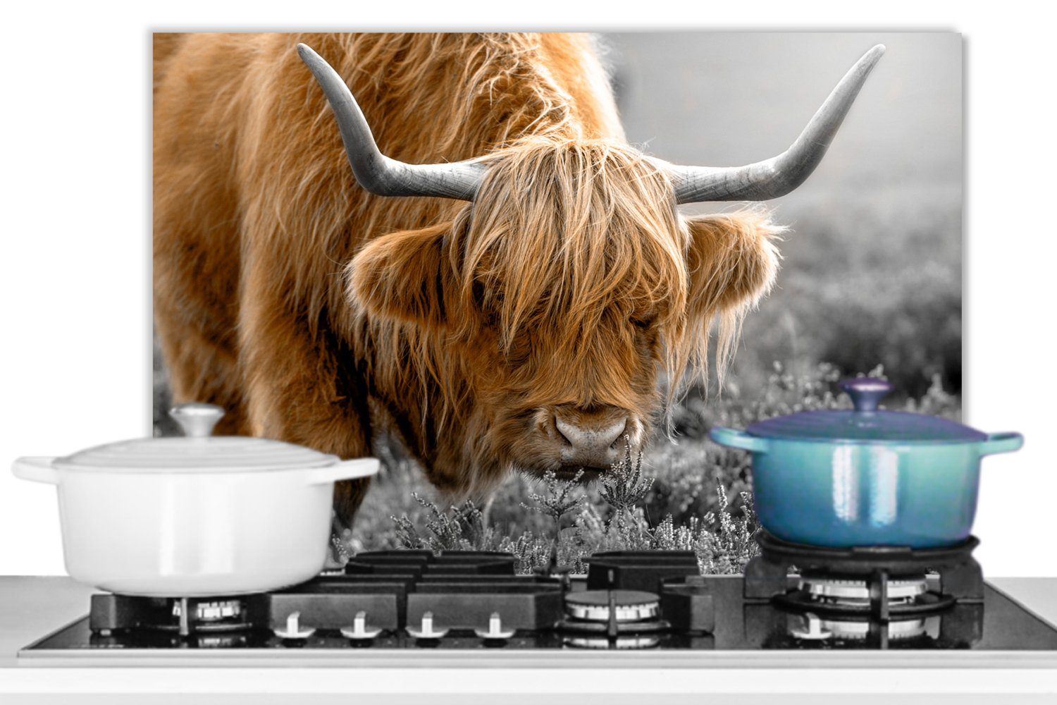 Temperaturbeständig Natur, Kuh - - Tiere Küchenrückwand Herdblende Schwarz Weiß küchen aus - Schottischer MuchoWow cm, - - 60x40 (1-tlg), - Highlander Braun Wandschutz,