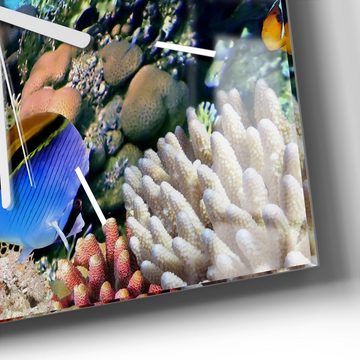 DEQORI Wanduhr 'Lebensraum Korallenriff' (Glas Glasuhr modern Wand Uhr Design Küchenuhr)