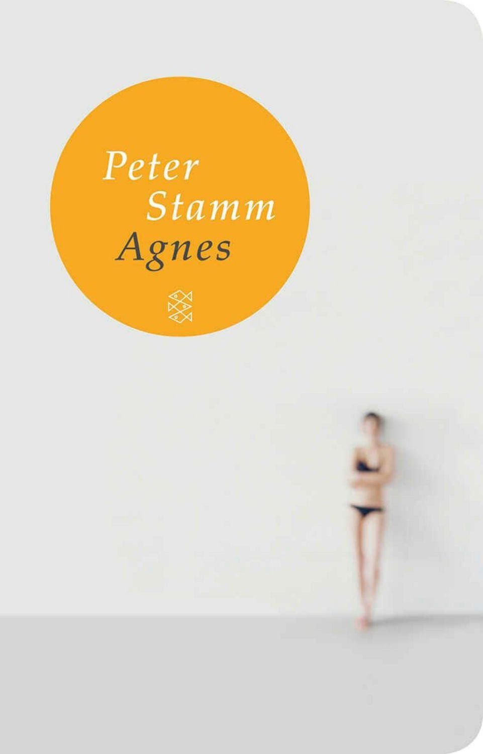 Agnes / Peter Stamm