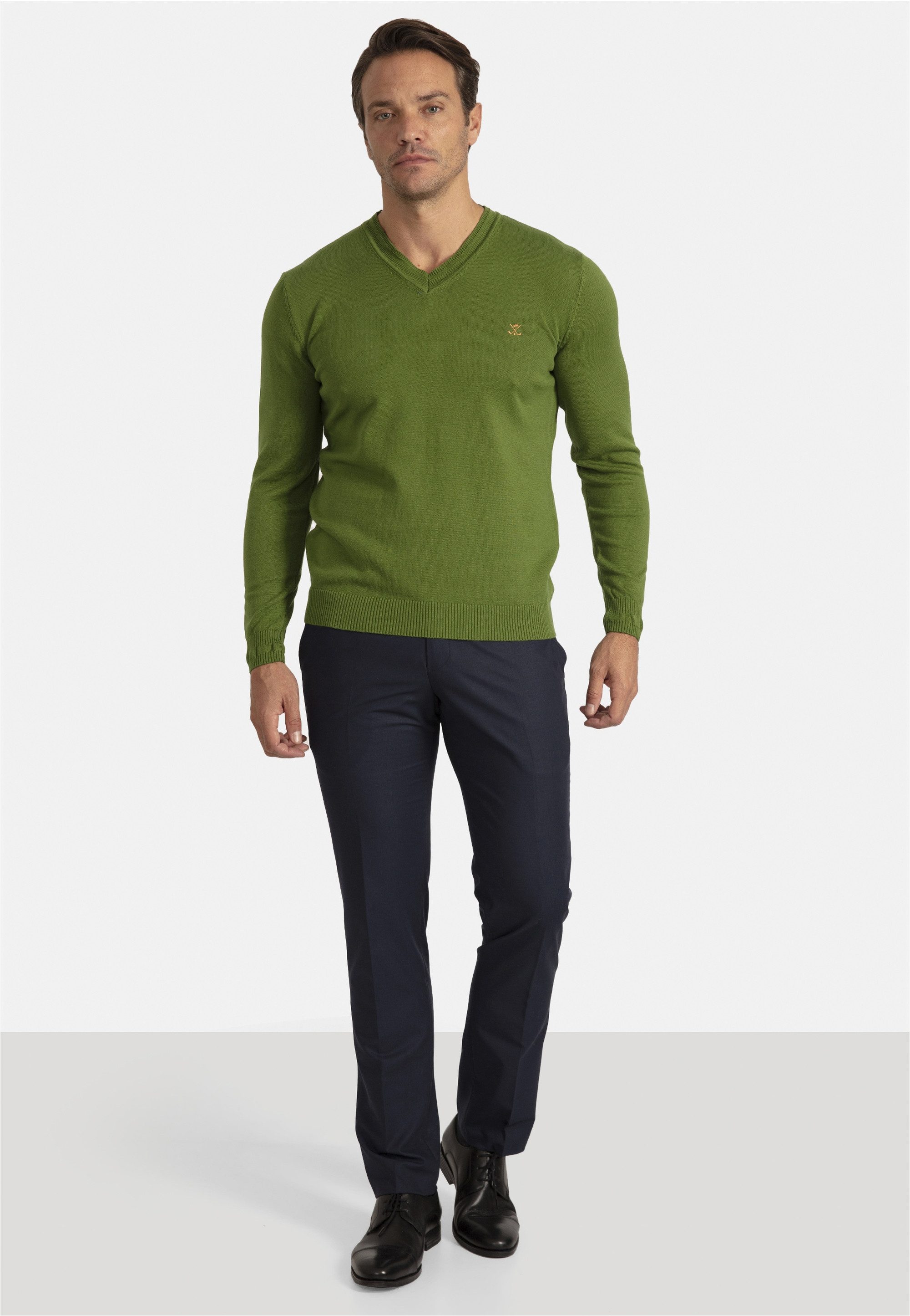 SIR RAYMOND TAILOR Strickpullover Los Angeles (1-tlg) mit klassischem V-Ausschnitt