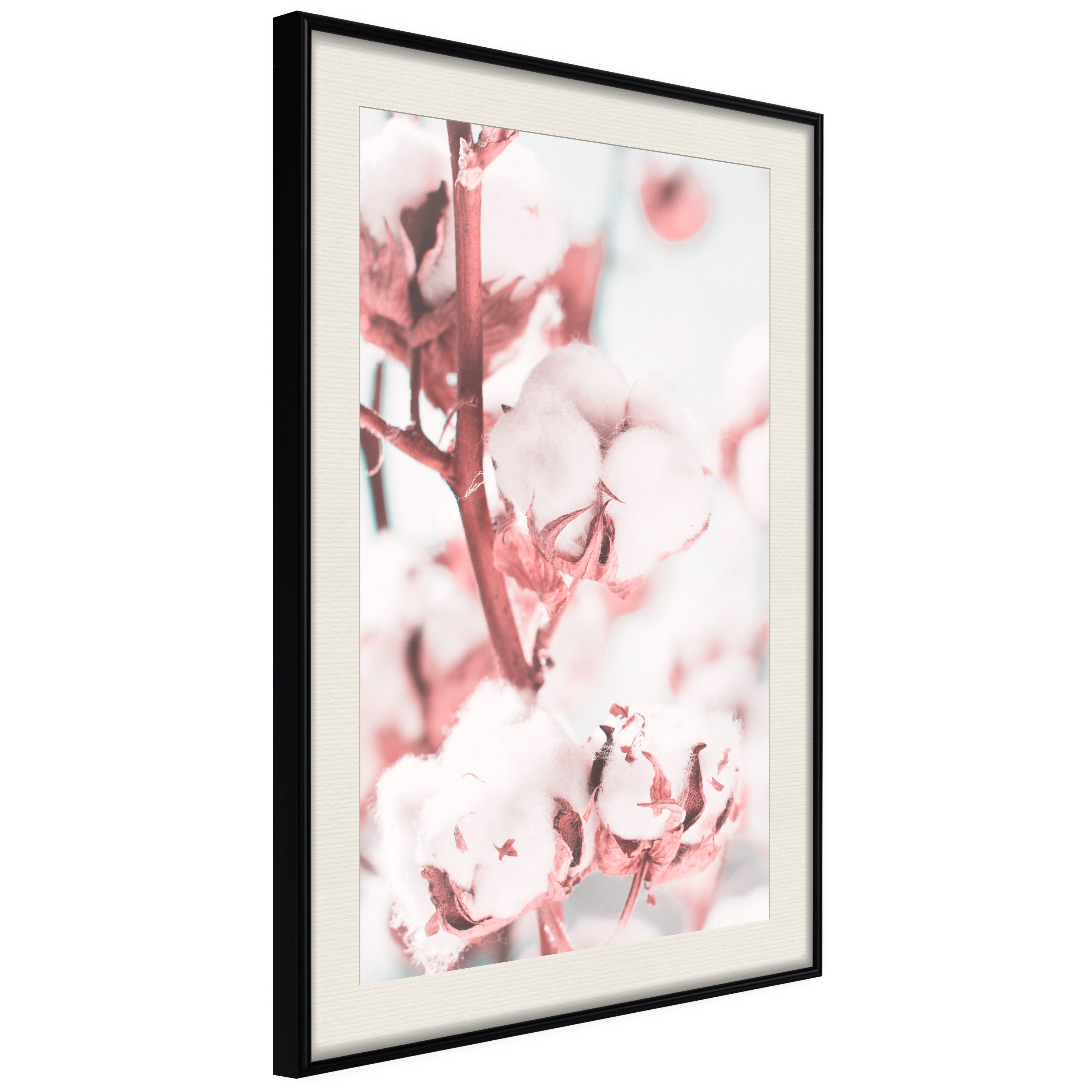 Artgeist Poster Blooming Cotton
