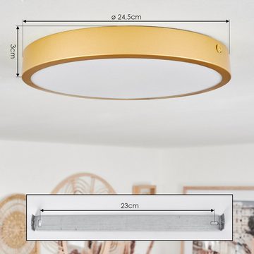hofstein Deckenleuchte moderne Deckenlampe aus Metall/Kunststoff in Messingfarben/Weiß, LED fest integriert, 3000 Kelvin, runde Leuchte (24,5 cm), 1330 Lumen, 15 Watt