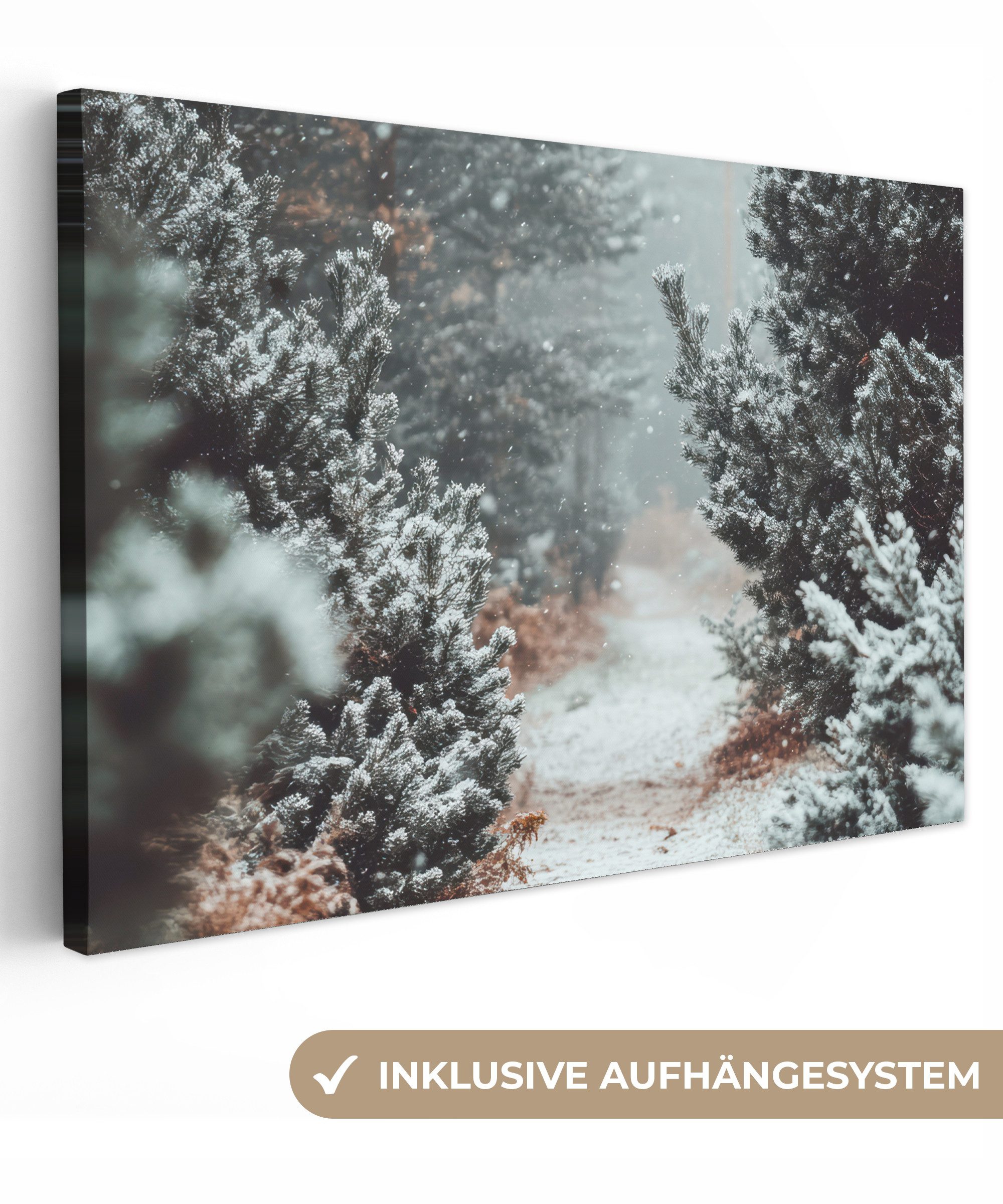 OneMillionCanvasses® Leinwandbild Wald - Winter - Bäume - Natur - Weg - Sch günstig online kaufen