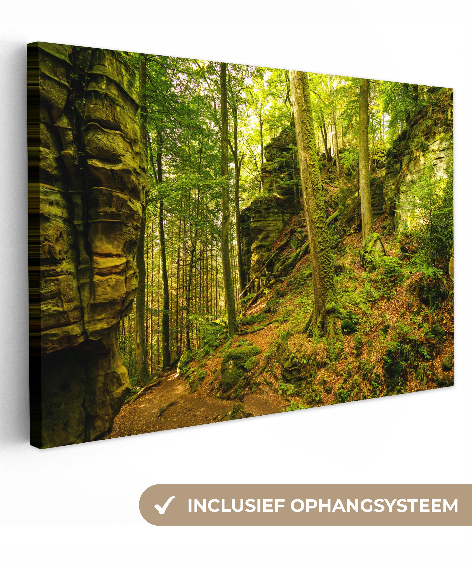 OneMillionCanvasses® Leinwandbild Bäume - Stein - Wald - Natur - Pflanzen, Fotodruck (1 St), Leinwand Bilder Klein, Wand Dekoration Aesthetic 30x20 cm