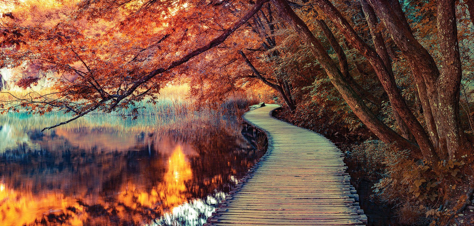 Levandeo® Leinwandbild, XXL Wandbild 115x55cm Leinwand Herbstfarben Wald He günstig online kaufen